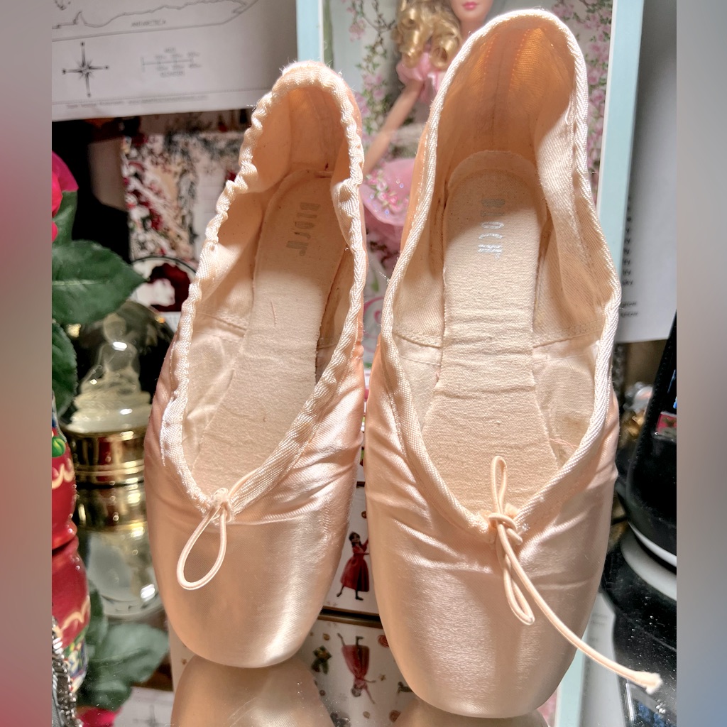 Bloch Pointe Shoes - Used In Good Condition